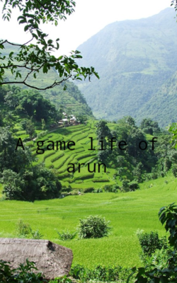 A Game Life Of Arun