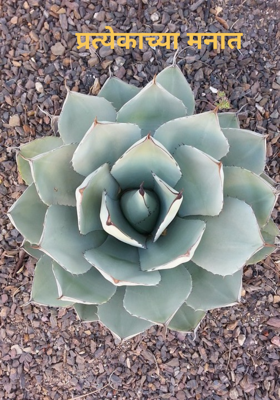 प्रत्येकाच्या मनात