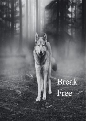 Break Free