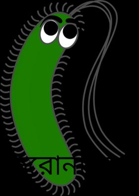 করোনা যাও