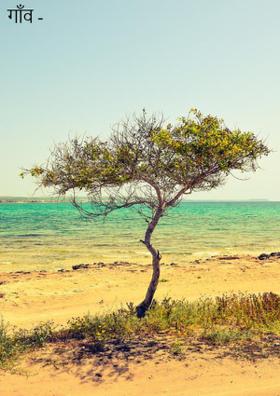 गाँव - 1.11