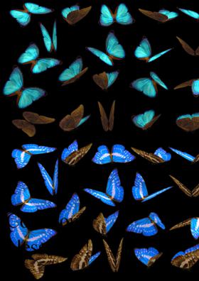 Count Our Blessings!