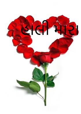 હાલી મારા વાલીડા