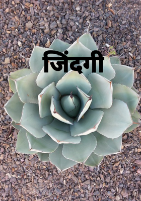 जिंदगी