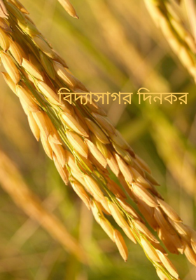 বিদ্যাসাগর দিনকর