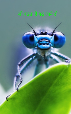 जो बढ़ता है बढ़ जाने दो