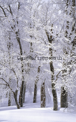 பெரிய புராணம்