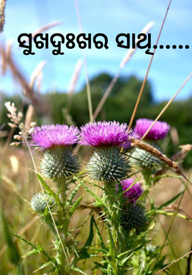 ସୁଖଦୁଃଖର ସାଥି......