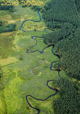 ఎదుటే నిలిచినా..
