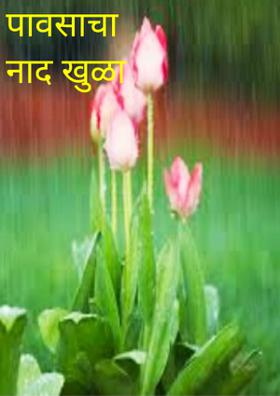 पावसाचा नाद खुळा