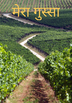 मेरा गुस्सा