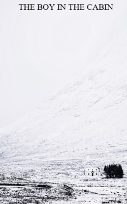 THE BOY IN THE CABIN