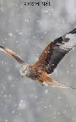 पावसाचा पक्षी