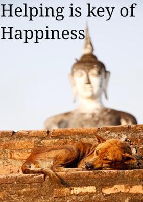 Helping Is Key Of Happiness