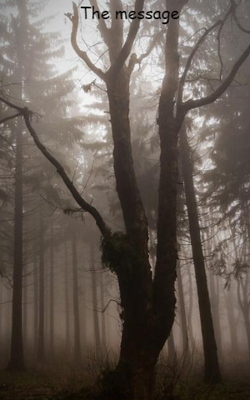 The Message