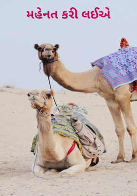 મહેનત કરી લઈએ