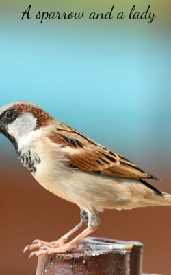 A sparrow and a lady