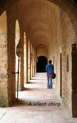 A silent chirp