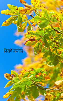 निसर्ग वरदान