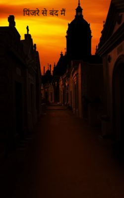 पिंजरे से बंद मैं