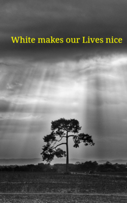 White makes our Lives nice