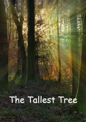 The Tallest Tree