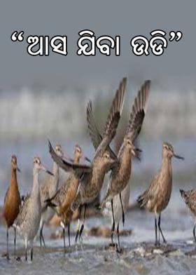 गणगोत.......