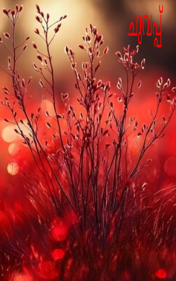 ചുവപ്പ് 