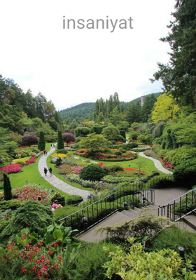 इंसानियत