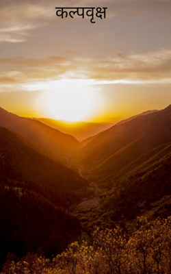 कल्पवृक्ष