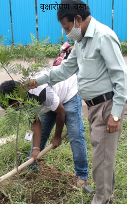 वृक्षारोपण  वसा