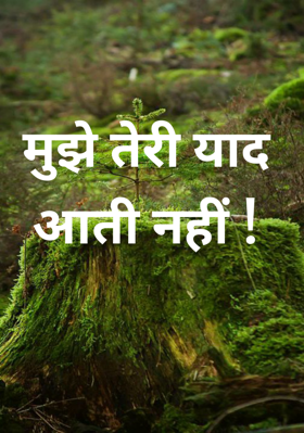 मुझे तेरी याद आती नहीं !