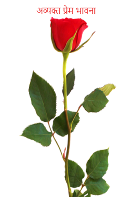                                                         अव्यक्त प्रेम भावना