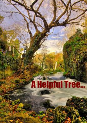 A Helpful Tree...