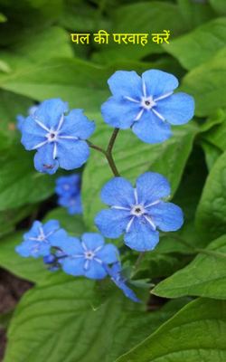 पल की परवाह करें