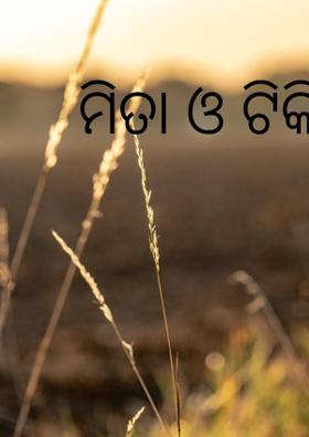 ମିତା ଓ ଟିକି ଚଢେଇ