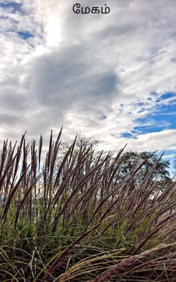 மேகம்