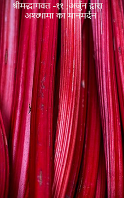 श्रीमद्भागवत -११ ;अर्जुन द्वारा अश्व्थामा का मानमर्दन