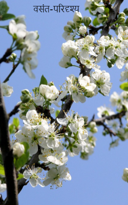 वसंत-परिदृश्य