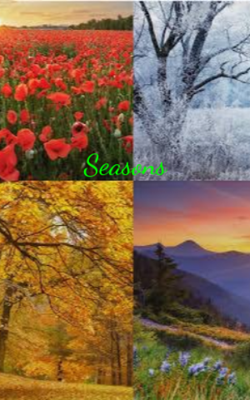 Seasons