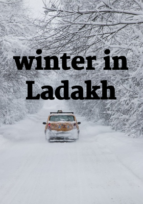 Winter In Ladakh