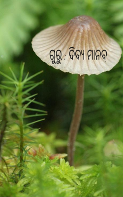 ଗୁରୁ : ଦିବ୍ୟ ମାନବ