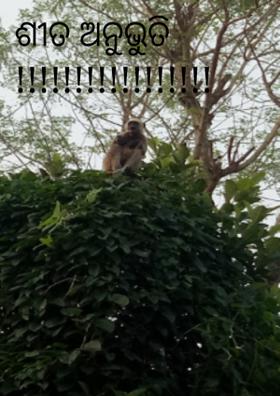 ଶୀତ ଅନୁଭୁତି !!!!!!!!!!!!!!!!!