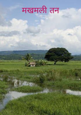 मखमली तन