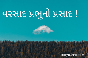 વરસાદ પ્રભુનો પ્રસાદ ! 