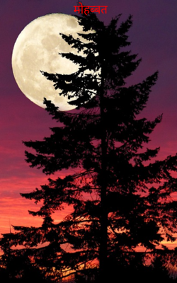 मोहब्बत