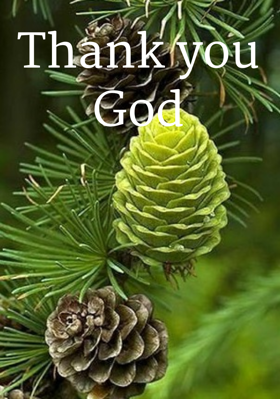 Thank you God