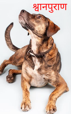 श्वानपुराण