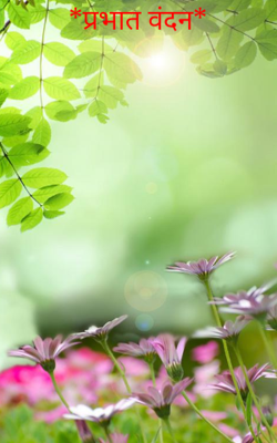प्रभात वंदन