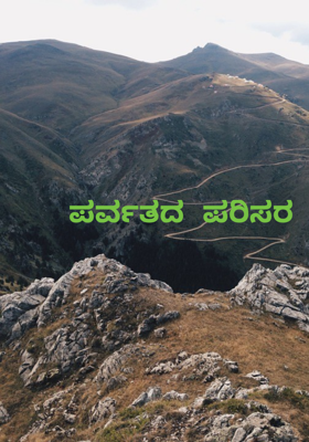 ಪರ್ವತದ ಪರಿಸರ